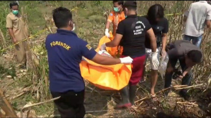 Diduga Korban Pembunuhan, Mayat Wanita Setengah Telanjang Ditemukan Membusuk di Ladang Jagung