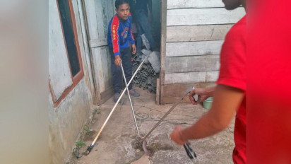 Heboh! 2 Ekor Ular Kobra Masuk Sumur Warga di Desa Pudun Jae