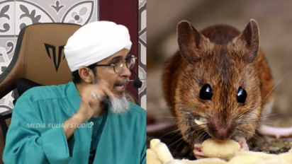 Astaghfirullah, Tikus Mondar-mandir di Rumah Bisa Jadi Tanda Musibah, Kata Habib Ali Zaenal Abidin Bahaya...