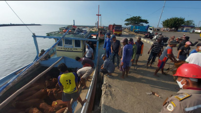 Permintaan Terus Meningkat, Pedagang di Situbondo Sampai Beli Sapi di Madura