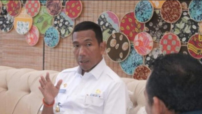 Harga Lada Rendah, Petani Beralih Profesi jadi Penambang Timah dan Berkebun Sawit