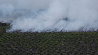 Memasuki Hari ke-11, Kebakaran Lahan Gambut di Nagan Raya Meluas hingga 21 Hektare