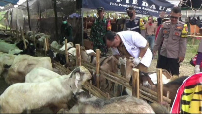 Tips Memilih Hewan Kurban yang Baik Menurut Pakar