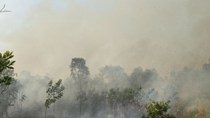 Kabut Asap Akibat Kebakaran Hutan BMKG Imbau Warga Banjarmasin Pakai Masker