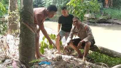 Heboh! Warga Temukan Tengkorak Manusia di Pinggir Sungai Batang Angkola