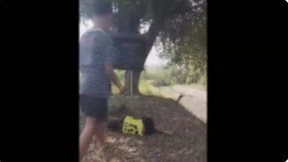 Viral, Video Seorang Bocah SD Hajar Temannya di Jombang