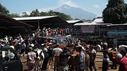 Jelang Idhul Adha Harga Kambing Kurban di Pasar Ambarawa Semarang Turun Harga