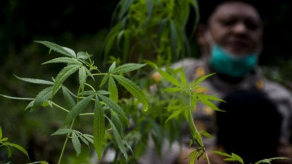 Puluhan Kilogram Ganja dan Sabu Dimusnahkan Polda Metro Jaya