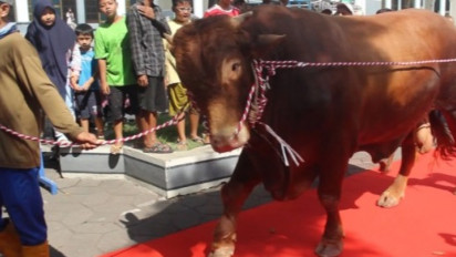 Saat Idul Adha, Kurban Bukan Sekadar Ibadah Ritual Tapi Amal Sosial