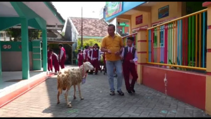 Kisah Ilham, Bocah Kelas 5 SD Asal Lumajang Sisihkan Uang Saku untuk Beli Kambing Kurban