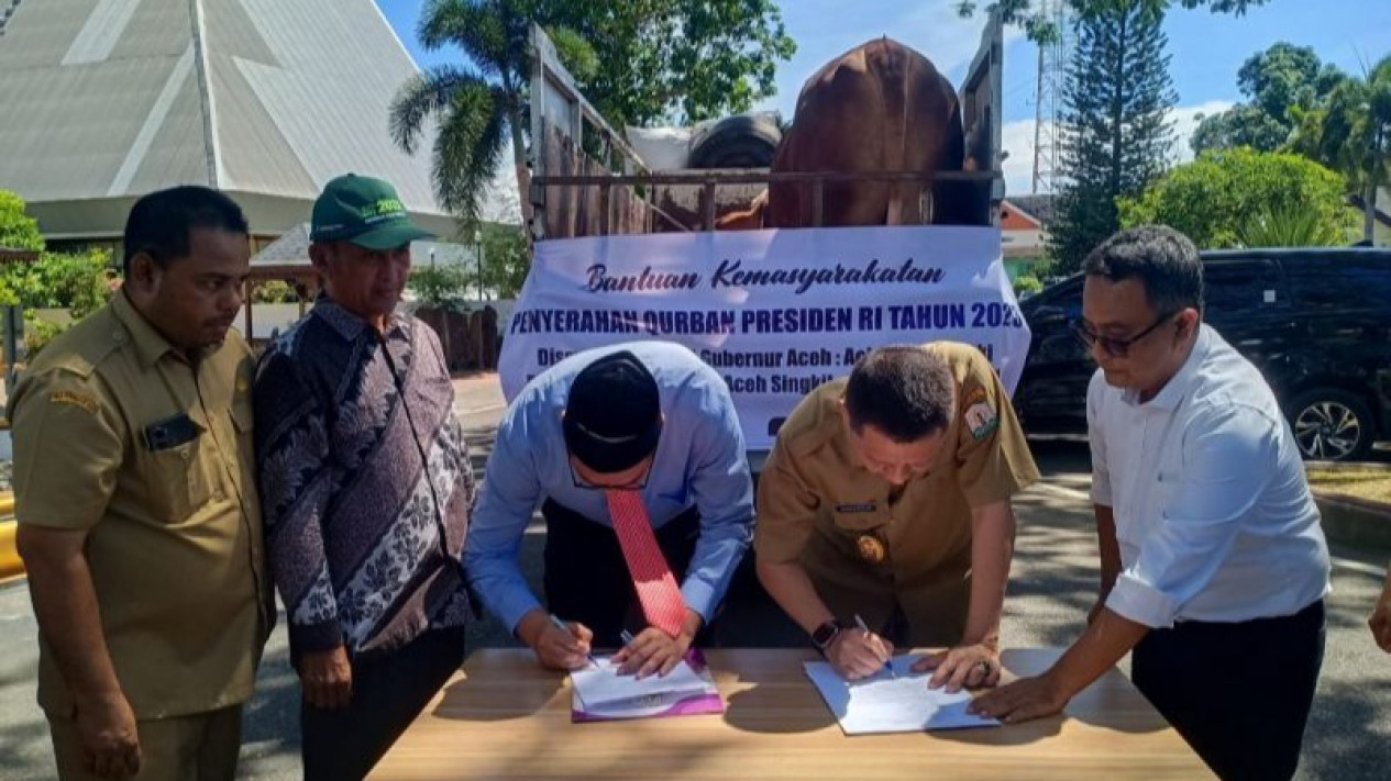 Sapi Kurban Bantuan Presiden Jokowi untuk Aceh Miliki Bobot 1 Ton Lebih
            - galeri foto