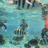 Objek Wisata Laut di Sabang Tutup 2 Hari Saat Idul Adha