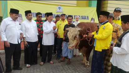 DPD Partai Golkar Jatim Salurkan Sapi Kurban Gubernur dan Anggota DPR RI