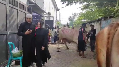 Pedangdut Via Vallen Kurban Tujuh Sapi dan 12 Kambing Pada Hari Raya Idul Adha 1444 H