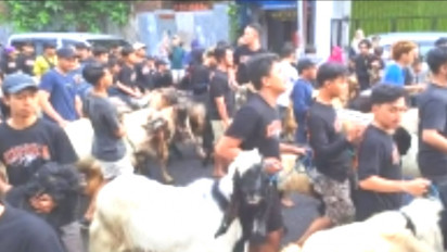 Sebelum Disembelih, Warga Kampung Temenggungan Malang  Gelar Tradisi Arak-arakan Hewan Kurban, Ini Alasannya