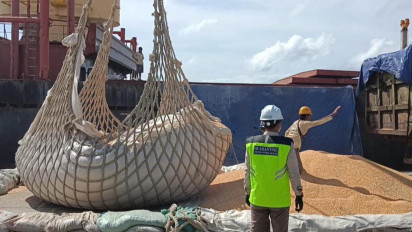 Kementan Fasilitasi Ekspor 160 Ribu Ton Jagung