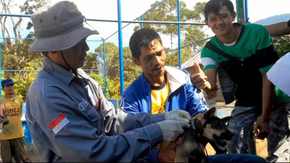 Cegah Rabies, Anjing Peliharan Warga Desa Pematang Danau Divaksin Massal 