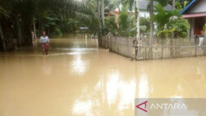 BPBD: Tujuh Desa di Aceh Barat Terendam Banjir