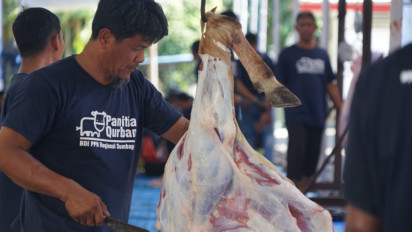 Momen Idul Adha 1444 Hijriah, Pertamina Sumbagut Sembilih 87 Hewan Qurban