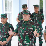 Apa Peran Kemenhan dan TNI dalam Satgas Kehutanan?