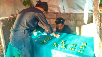 Jualan Pinang Sirih, Mahasiswa Unitri asal Wamena Raih Cuan Ratusan Ribu Rupiah Per Hari