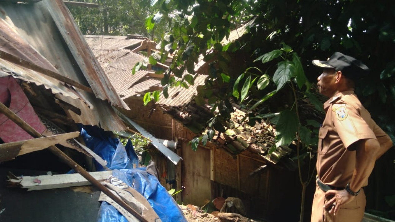 Pohon Tumbang Timpa Dua Rumah di Bandar Lampung, Satu Orang Alami Luka
            - galeri foto