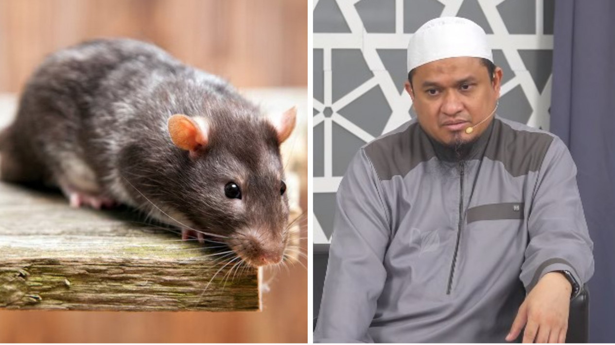 Banyak Tikus di Rumah itu Tandanya Banyak Terjadi Maksiat, Benarkah? Ternyata...
            - galeri foto