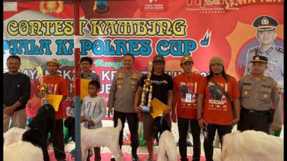 Ratusan Kambing Etawa di Jepara Ikuti Kontes