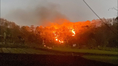 Diduga Akibat Puntung Rokok Dibuang Sembarangan, 3 Hektar Hutan Jati di Ponorogo Terbakar