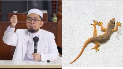 Terdapat Banyak Cicak di Rumah Anda? Wajib Waspada kata Ustaz Adi Hidayat, Ternyata Menandakan..