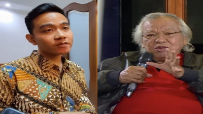 Panda Nababan Kritik Gibran, FX Rudy: Bisa Sebagai Bahan Introspeksi