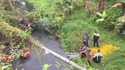 Pandangan Gelap, Pick Up Muatan Jeruk 6 Kuintal Kejebur di Sungai Sukosari Malang
