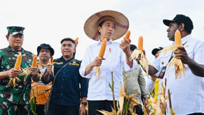 Presiden Jokowi Tinjau Ladang Jagung di Kabupaten Keerom