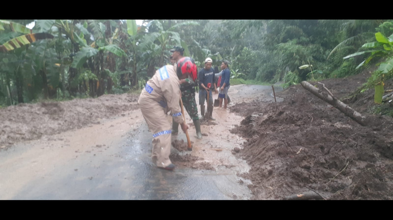 Diguyur Hujan Seharian, Tebing Longsor Tutupi Akses Jalan di Banyuwangi
            - galeri foto