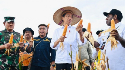 Siapa yang Layak Jadi Presiden 2024? Beberapa Elite Politik Menanti Arahan Jokowi, Effendi Simbolon sebut Sosok Ini