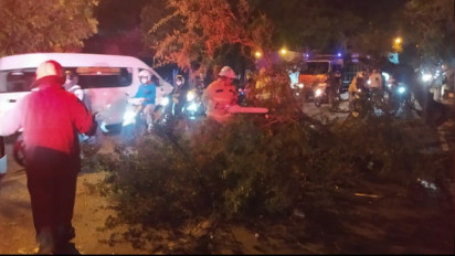 Empat Orang Pengendara Motor Terluka akibat Tertimpa Pohon Tumbang di Kota Batu