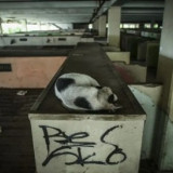 Blok G Pasar Tanah Abang Diduga Jadi Sarang Narkoba, Polisi Dapati Alat Hisap Sabu