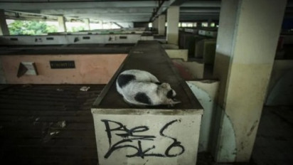 Blok G Pasar Tanah Abang Diduga Jadi Sarang Narkoba, Polisi Dapati Alat Hisap Sabu