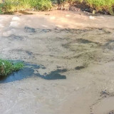 Pipa Minyak Milik Pertamina HRZ 4 Prabumulih Bocor, Cemari Aliran Sungai Kelekar dan Perumahan Warga di 8 Kelurahan