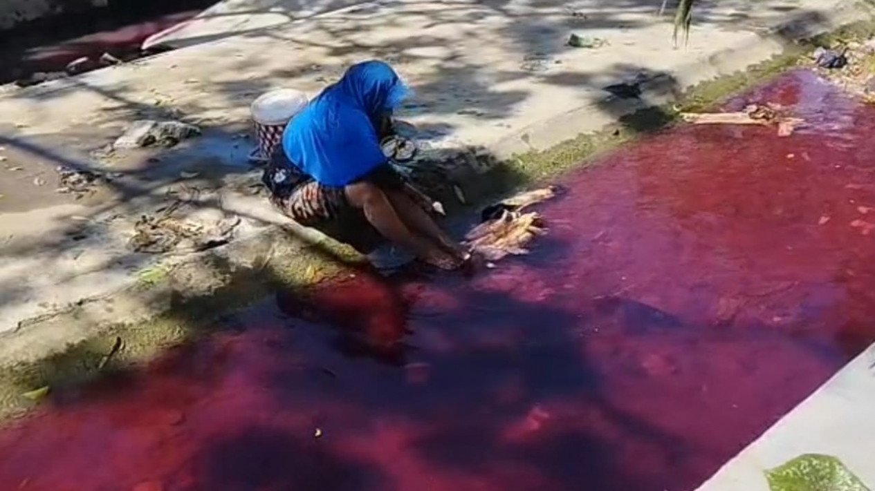 Terungkap, Air Sungai Warna Merah Darah di Pamekasan Ternyata Gara-gara Bahan Kimia Tekstil
            - galeri foto