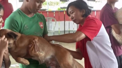Digigit Anjing, 1 Orang Anak di Taput Meninggal Dunia