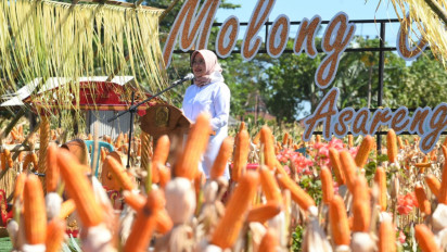 Panen Raya, Banyuwangi Pasok 250 Ribu Ton Jagung ke Jatim