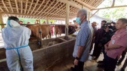 Cegah Penyebaran Antraks, Ribuan Ternak Sapi di Jawa Tengah Diberi Vaksinasi