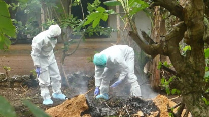 Tradisi Brandu Jadi Pemicu Penyebaran Antraks di Gunungkidul