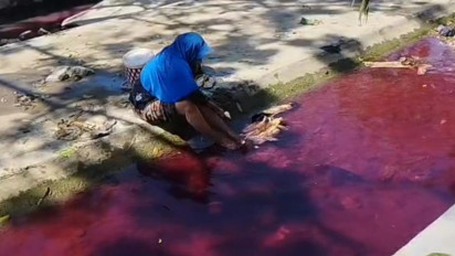 Terungkap, Pelaku Penyebab Air Sungai di Pamekasan Jadi Merah, Polisi: Karyawan Toko Bahan Kimia