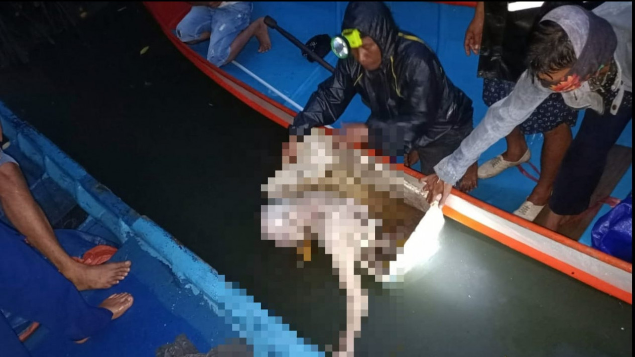 GEGER! Warga Kabupaten Muna Temukan Potongan Tubuh Manusia Mengapung di Muara Sungai
            - galeri foto