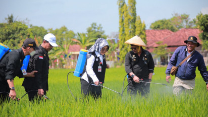 Mentan SYL Tinjau Penanganan Hama Wereng di Kabupaten Klaten