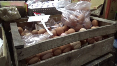 Jelang Tahun Baru Islam, Harga Telur dan Daging Ayam di Yogyakarta Meroket