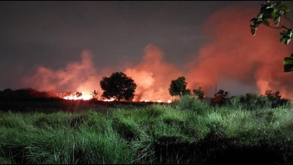 Semak Belukar di Belakang Pasar Menganti Terbakar Hebat, Petugas Damkar Kesulitan Padamkan Api