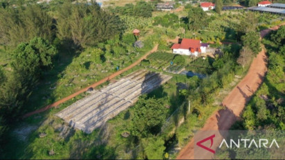 PT Timah Reklamasi 203,6 Hektare Bekas Tambang di Babel